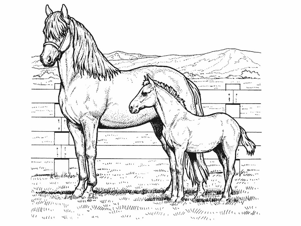 horse pics to color agy wilson39s art coloring page something different color horse pics to 