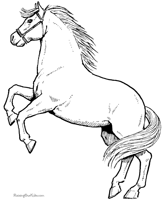 horse pics to color coloring pages horses heads ribbon print coloring home to horse pics color 