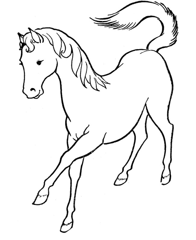 horse pics to color horse coloring pages for kids coloring pages for kids horse color to pics 