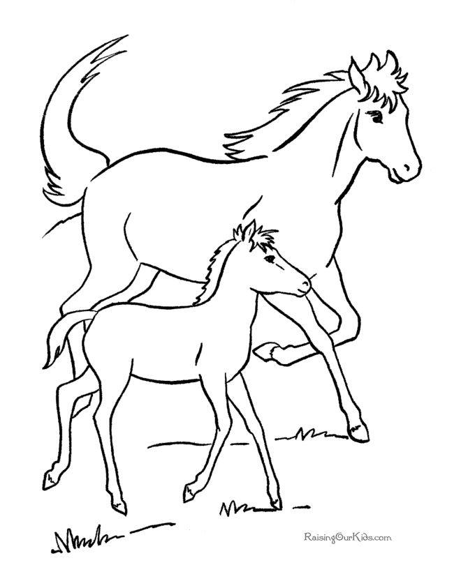 horse pics to color printable horse coloring free printable horse coloring to horse color pics 