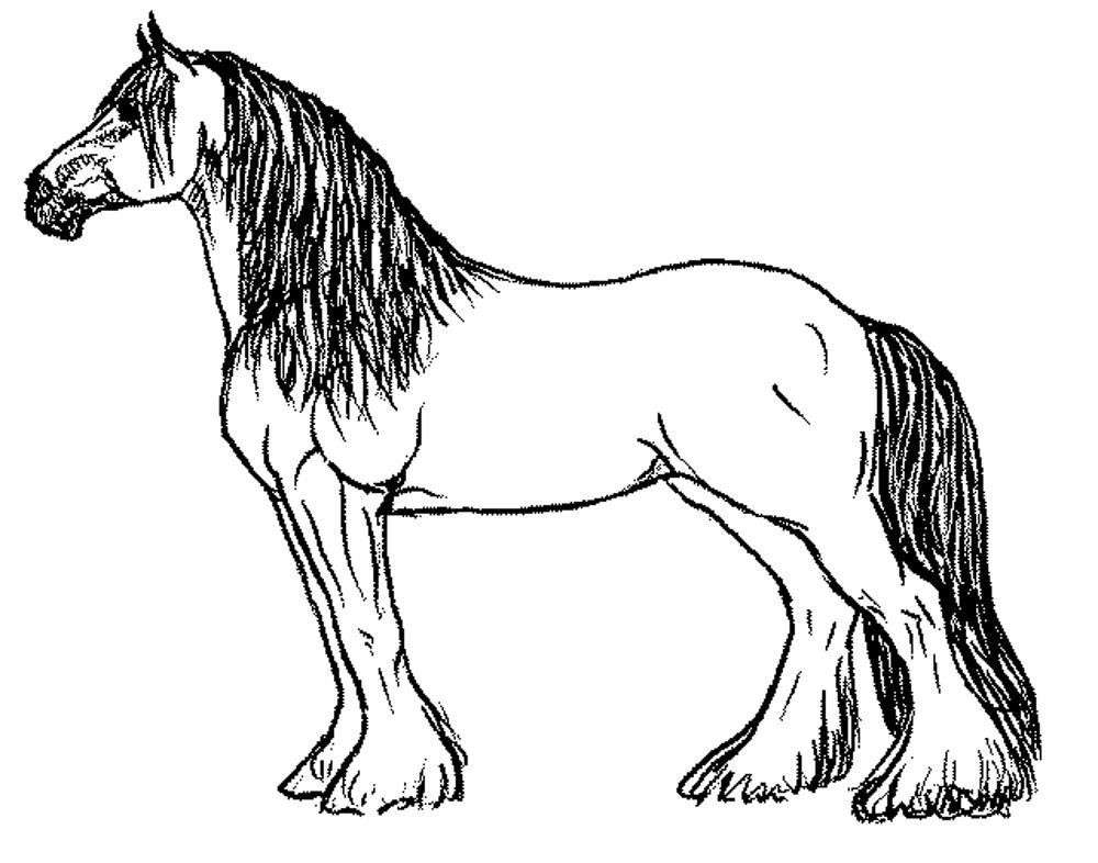 horse pics to color running horse coloring page free printable coloring pages color horse pics to 