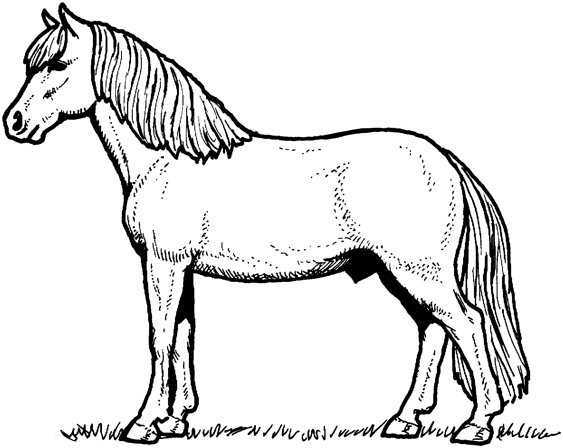 horse pictures coloring pages printable horse coloring free printable horse coloring horse pages coloring pictures 