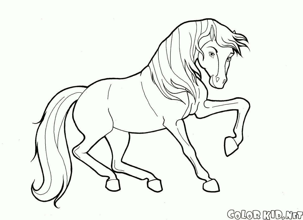 horse print out coloring pages print out coloring pages race horses for kids free pages horse coloring out print 