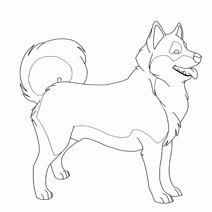 husky coloring pages husky coloring pages hellokidscom husky pages coloring 