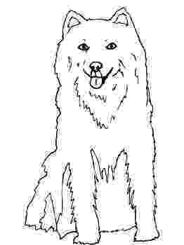 husky pictures to print husky coloring pages free printable coloring pages for kids pictures husky print to 