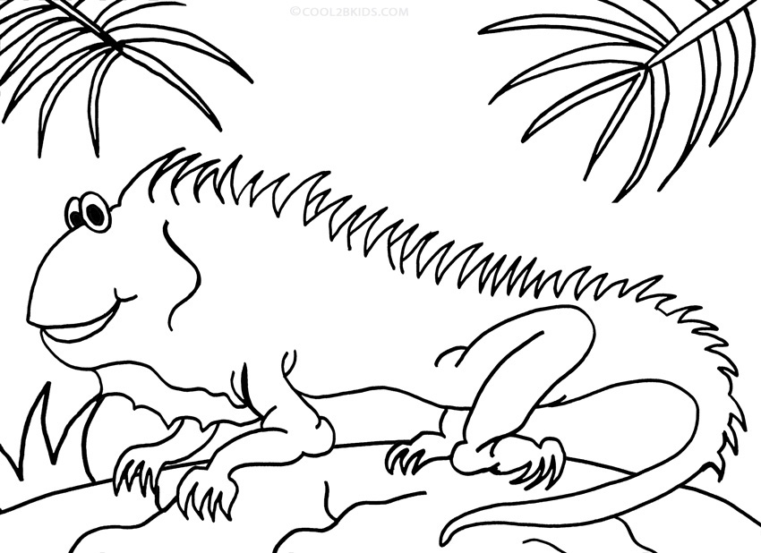 iguana coloring pages iguana coloring pages to download and print for free coloring pages iguana 