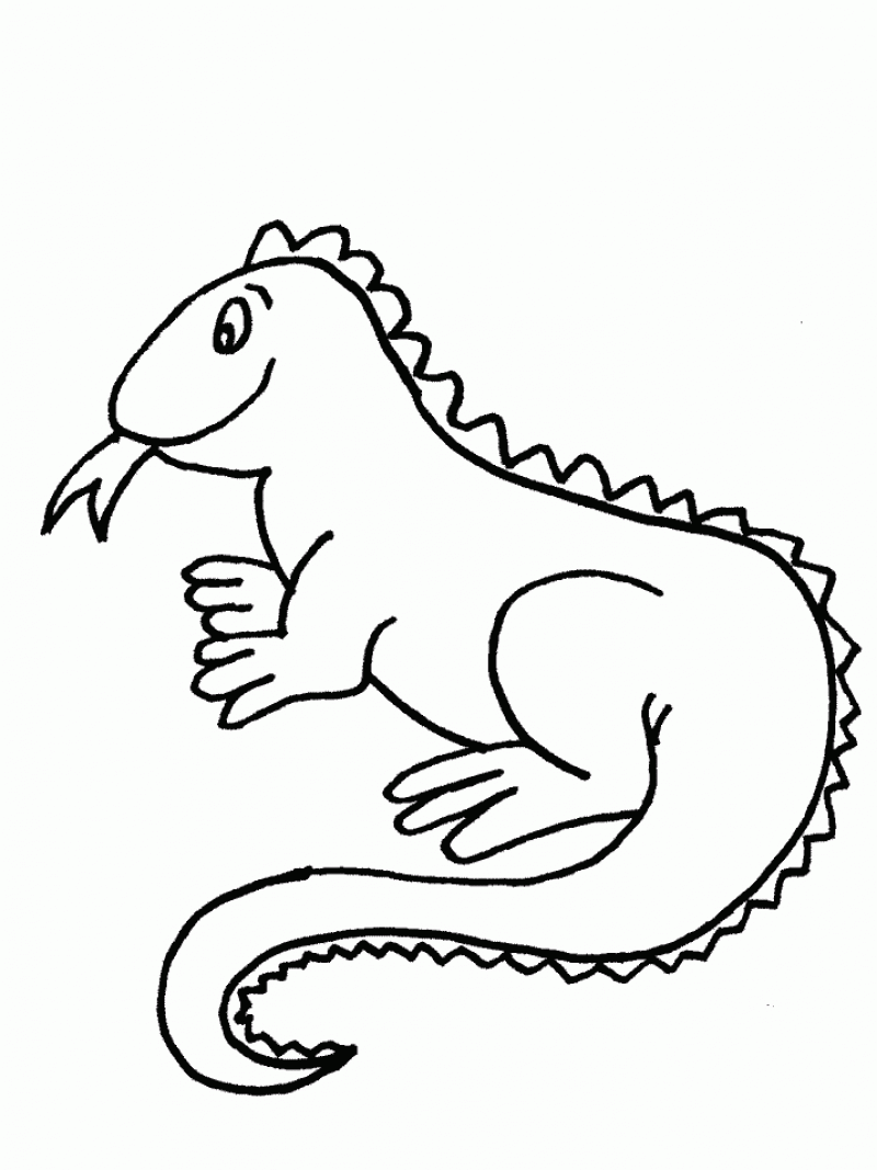 iguana coloring pages large male dominant iguana coloring page download iguana pages coloring 