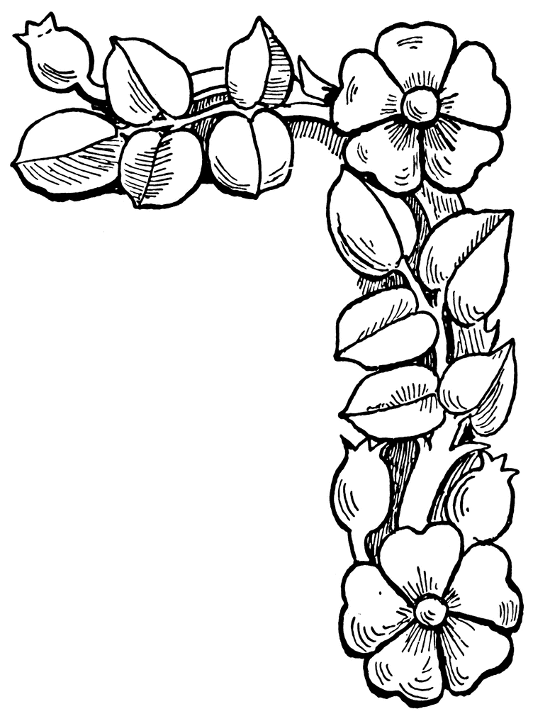 images of flowers to color flower clipart etc color flowers of images to 