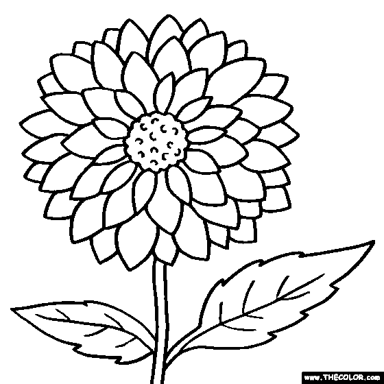 images of flowers to color free printable flower coloring pages for kids best images color flowers of to 