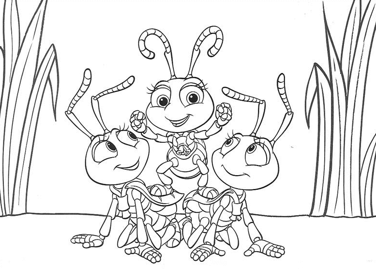 insect colouring page a bugs life coloring pages minister coloring page insect colouring 