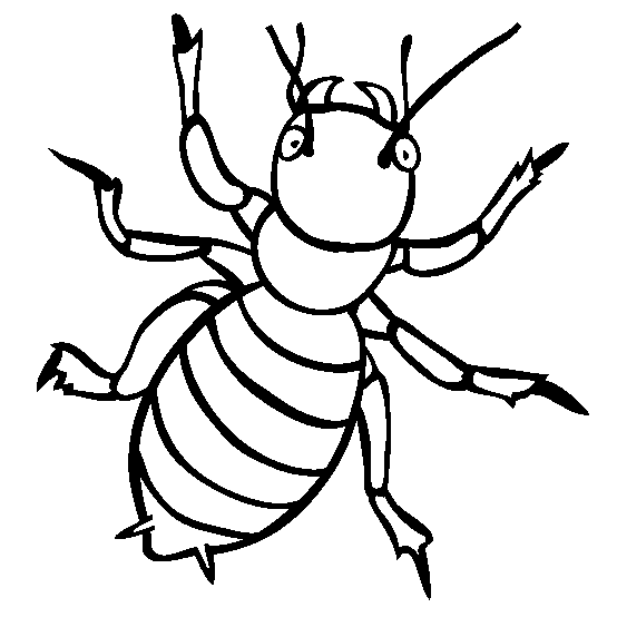 insect colouring page free printable bug coloring pages for kids colouring page insect 