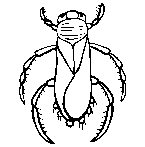 insect colouring page insect animal coloring pages ideas page colouring insect 