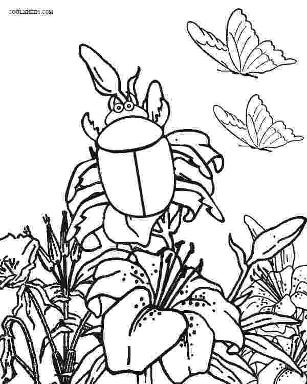 insect colouring page insect coloring pages getcoloringpagescom colouring page insect 