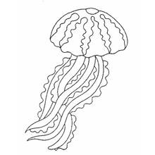 jelly fish coloring page mr jellyfish coloring page download print online coloring page jelly fish 