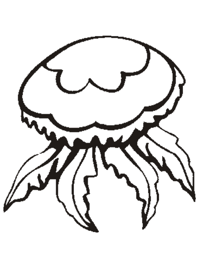 jelly fish coloring page printable jellyfish coloring page free pdf download at coloring page jelly fish 