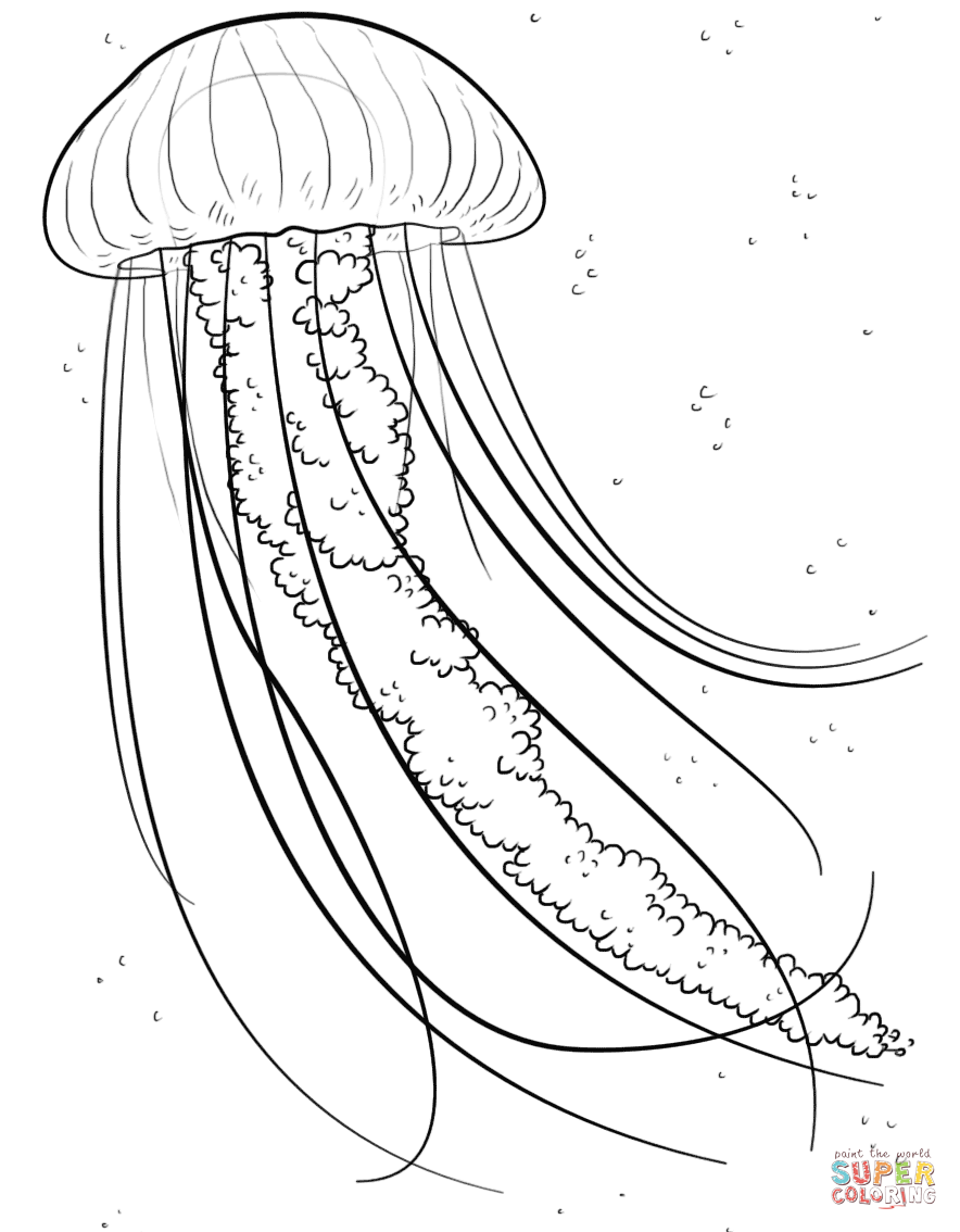 jellyfish coloring pictures jellyfish coloring pages for kids coloring home coloring pictures jellyfish 