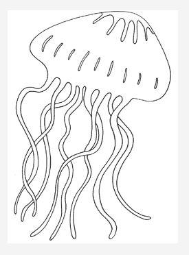 jellyfish coloring pictures jellyfish outline free download best jellyfish outline jellyfish pictures coloring 