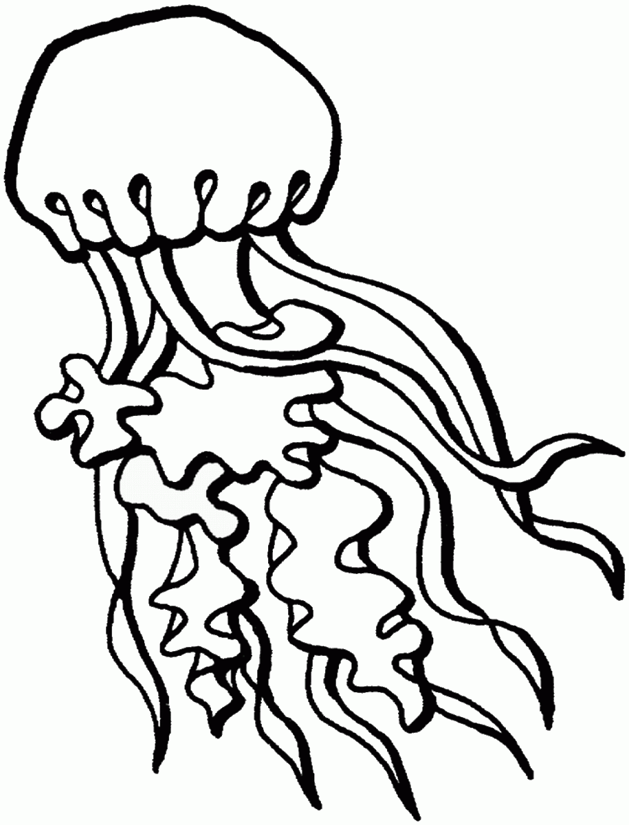 jellyfish coloring pictures mesmerizing beauty 39 fish coloring pages and crafts coloring pictures jellyfish 