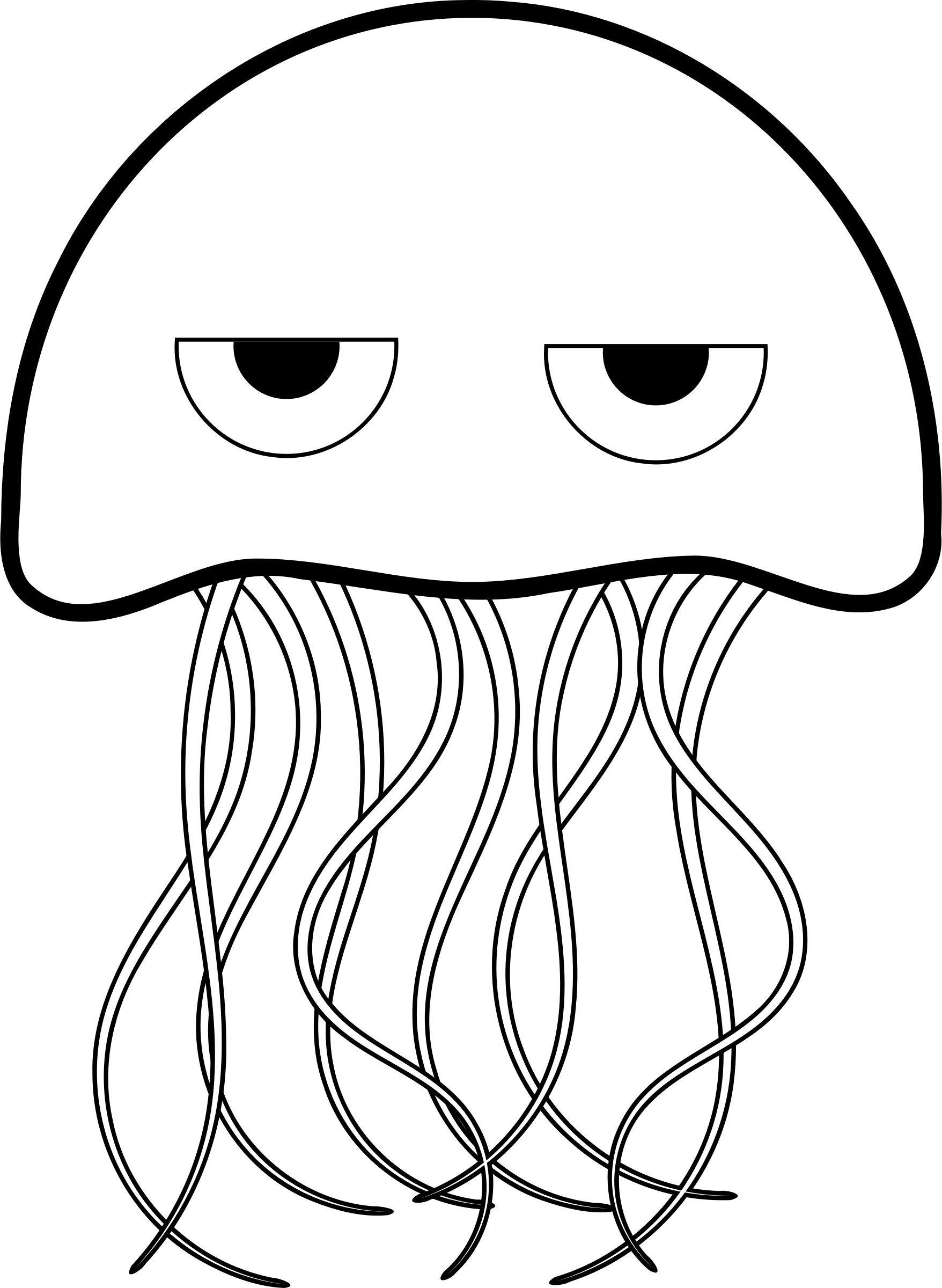 jellyfish for coloring jellyfish coloring pages sketch coloring page for coloring jellyfish 