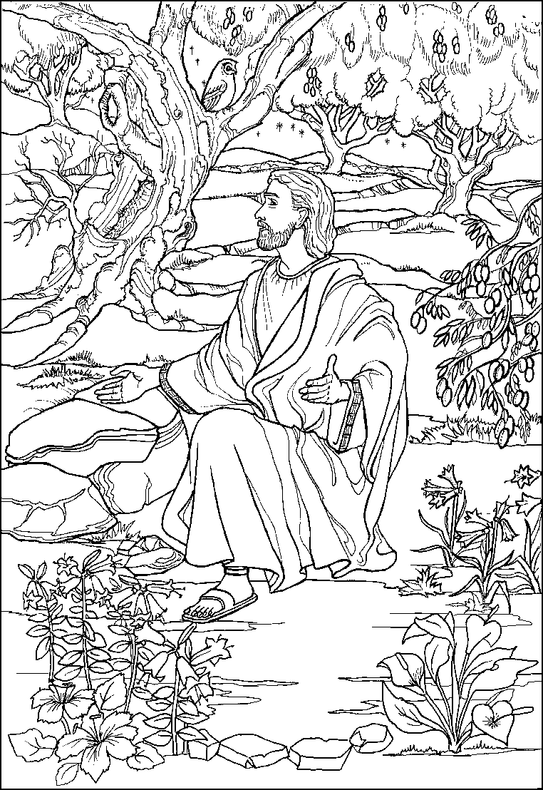 jesus in the garden of gethsemane coloring page today with the saints january 24 st francis de sales of garden in the page gethsemane coloring jesus 