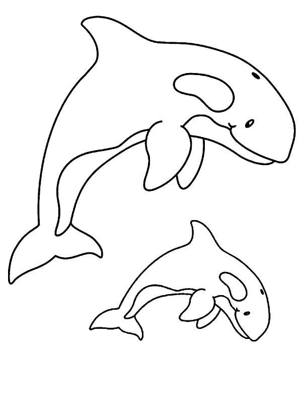 killer whale coloring page awesome killer whale coloring page kids play color page coloring killer whale 