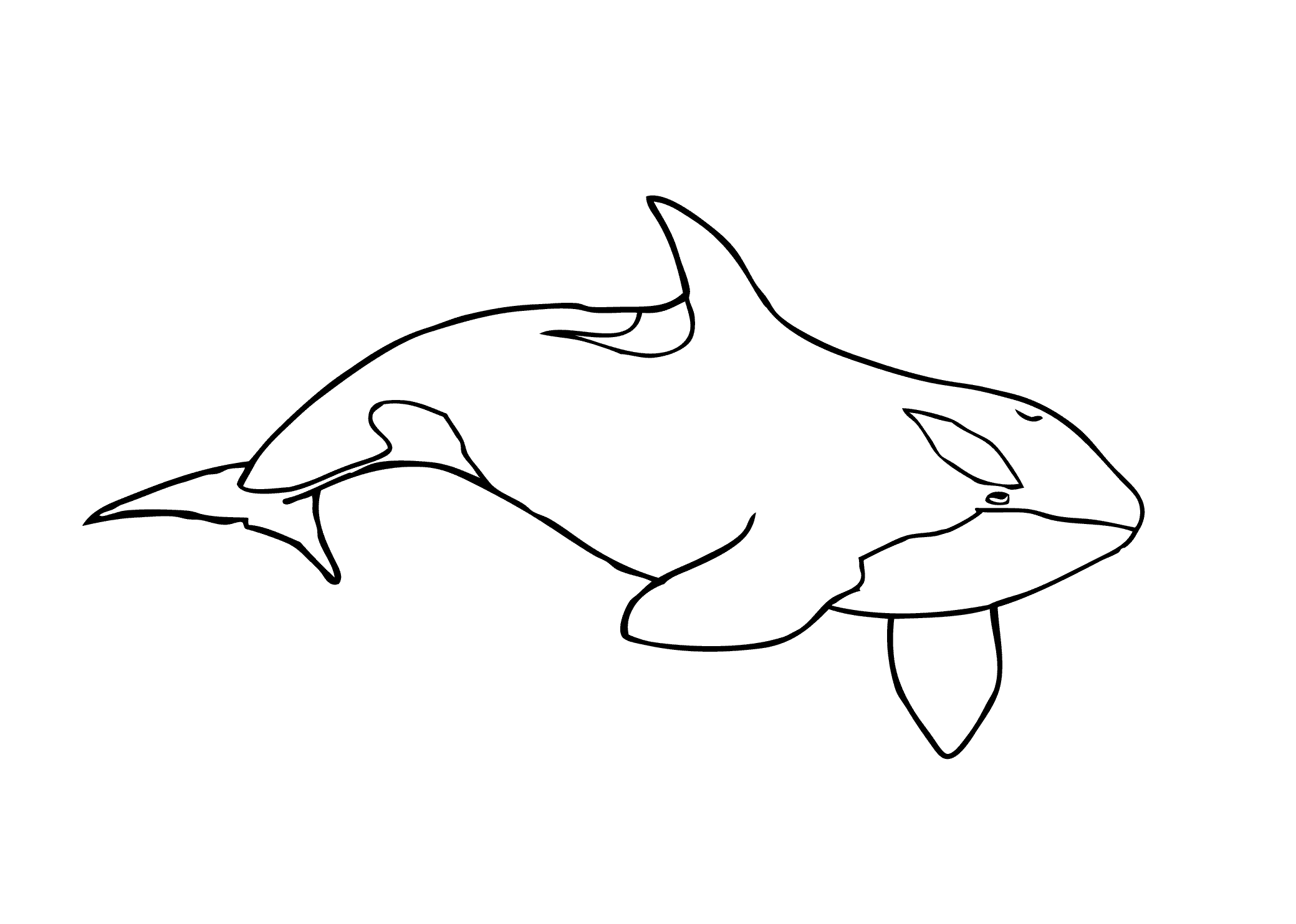 killer whale coloring page killer whale coloring page supercoloringcom killer whale page coloring 