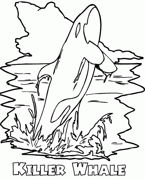 killer whale coloring page marine animal coloring pages page coloring killer whale 