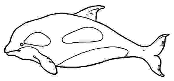 killer whale pictures to color free whale images for kids download free clip art free to killer whale pictures color 