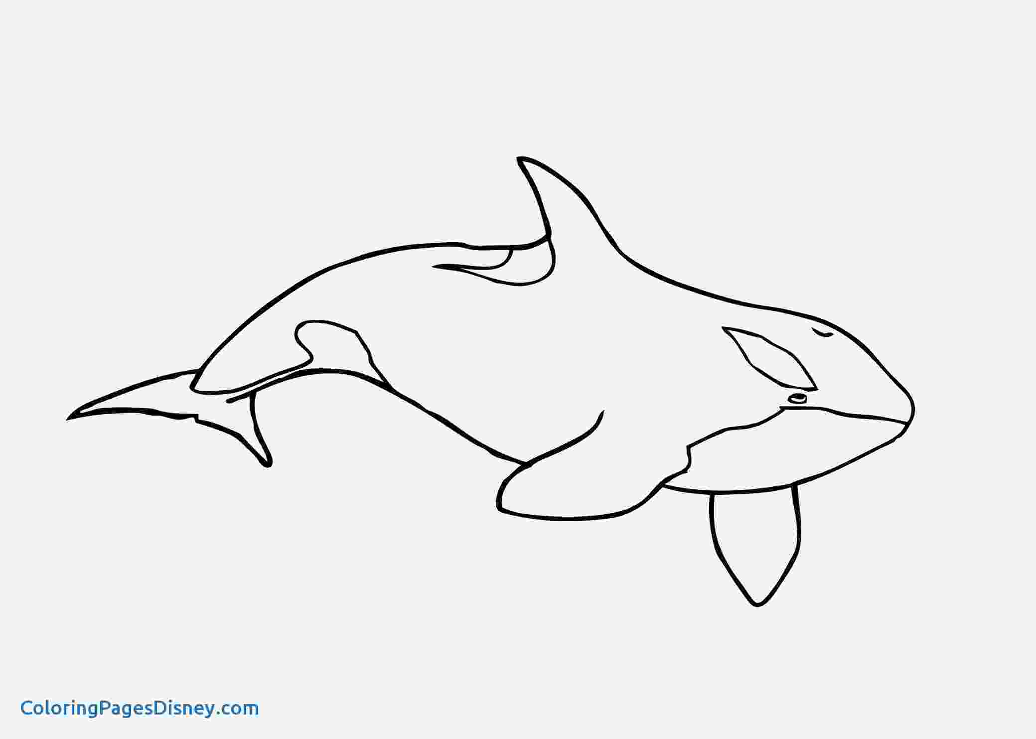 killer whale pictures to color orca printable coloring pages whale color killer to pictures 
