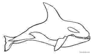 killer whale pictures to color orca whale pages coloring pages pictures to color whale killer 