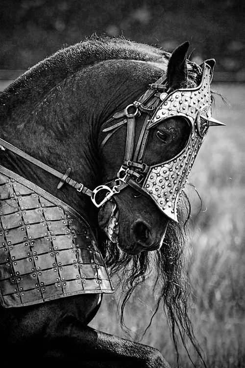 knight on a horse your employees are not virgin princesses the blogging a knight on horse 