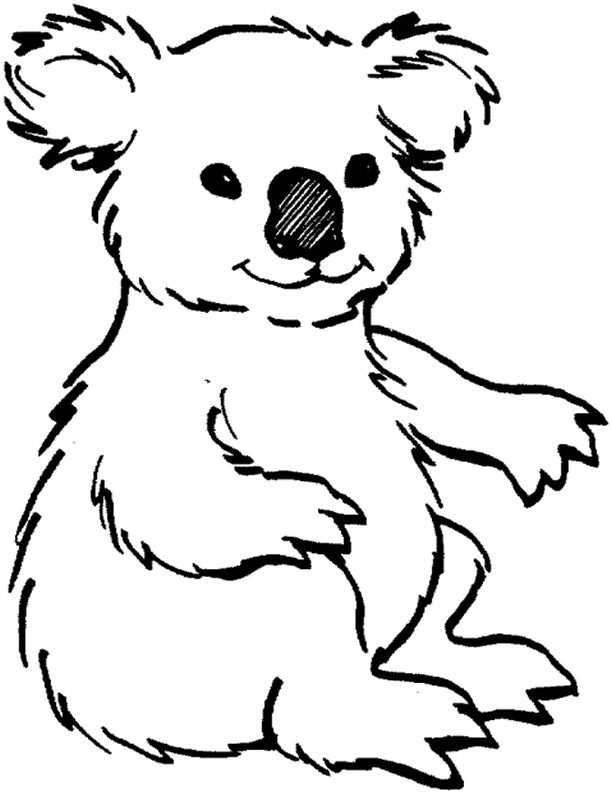 koala color free printable koala coloring pages for kids color koala 