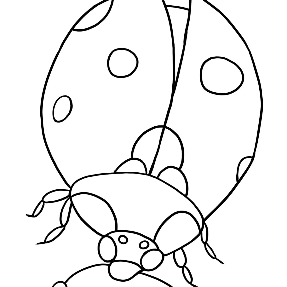 l is for ladybug free ladybug coloring pages at getcoloringscom free for is l ladybug 