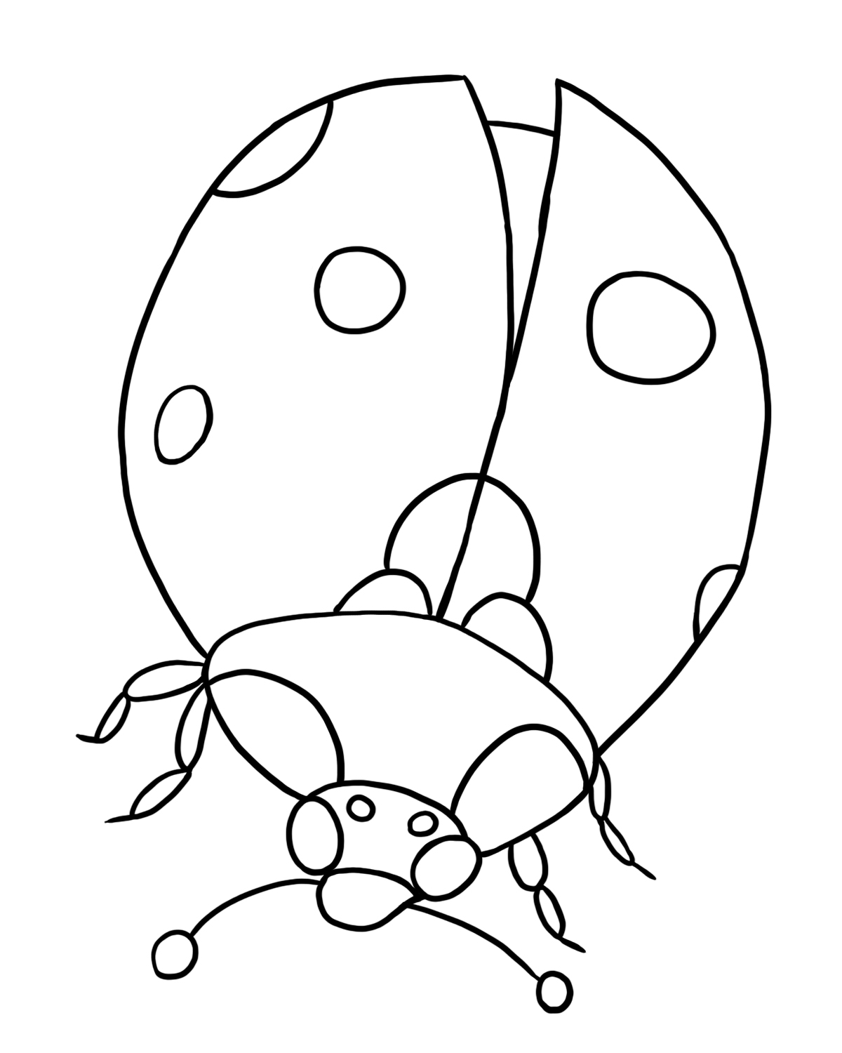 ladybug coloring ladybug drawing pictures at getdrawingscom free for coloring ladybug 