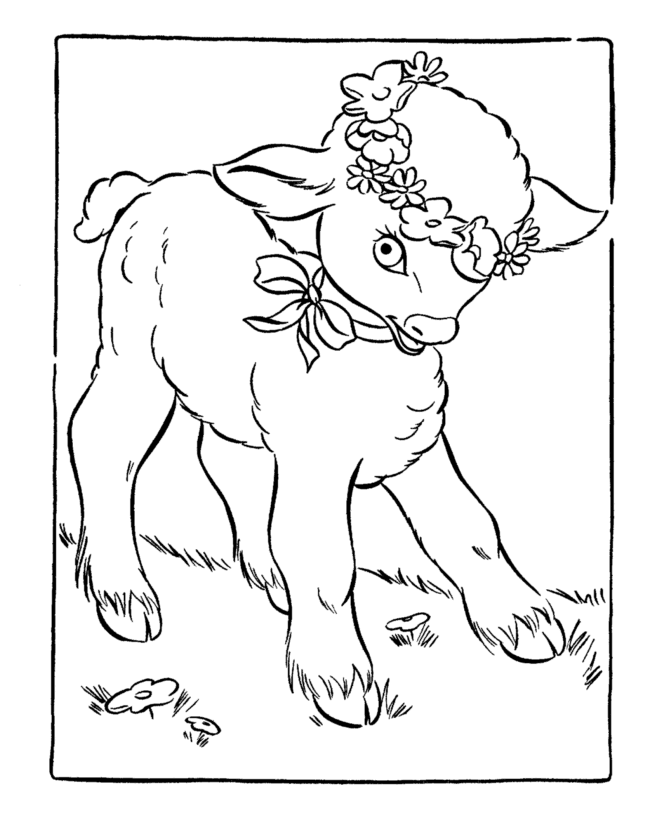 lamb coloring page farm animal colouring pages for kids coloring lamb page 