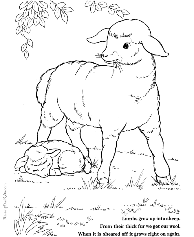 lamb coloring page lamb coloring pages getcoloringpagescom page coloring lamb 