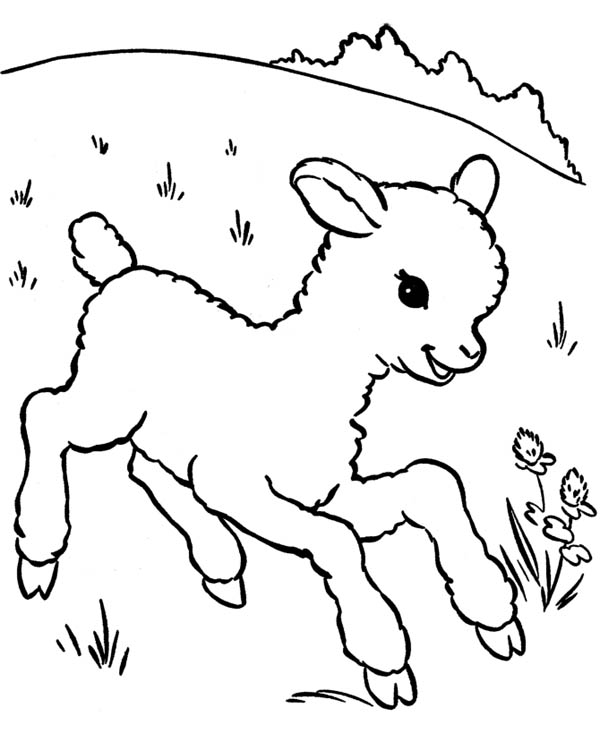 lamb coloring page little lamb running aroung coloring page coloring sky lamb page coloring 