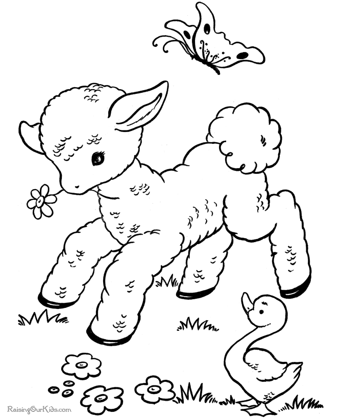 lamb coloring pages cute cartoon lamb coloring page free printable coloring coloring lamb pages 