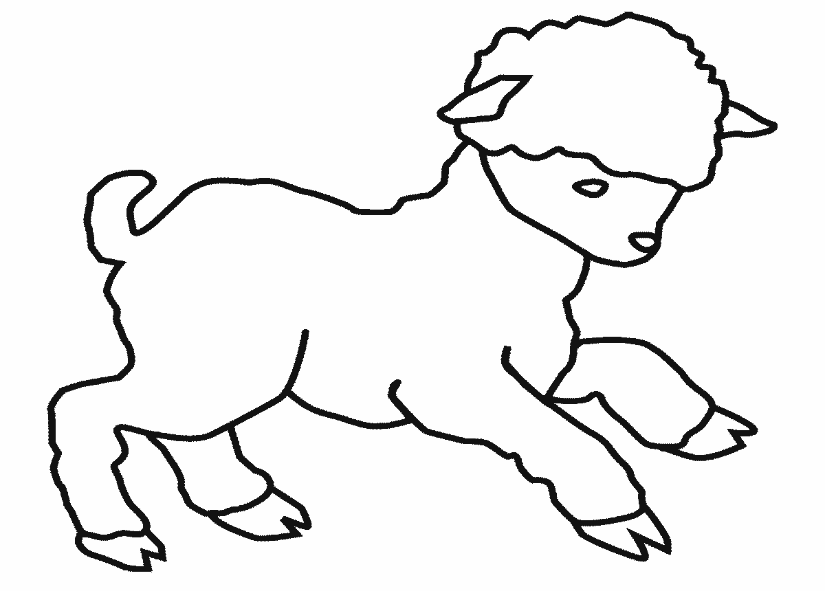 lamb pictures to color free printable sheep coloring pages for kids to lamb color pictures 