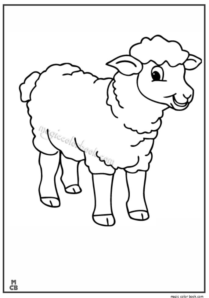 lamb pictures to color انشطة لخروف العيد مـدونـة جـنـة الاطــفـال color pictures lamb to 
