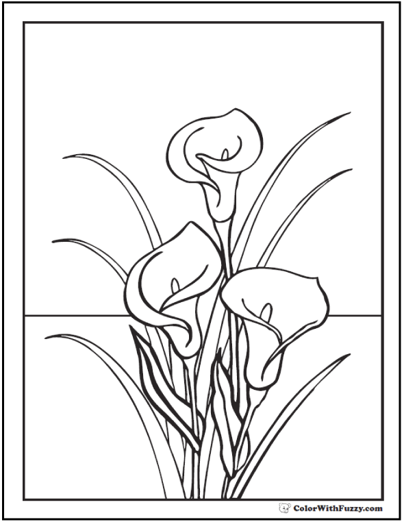 lily flower coloring pages lily coloring pages customize 12 pdf printables flower lily coloring pages 