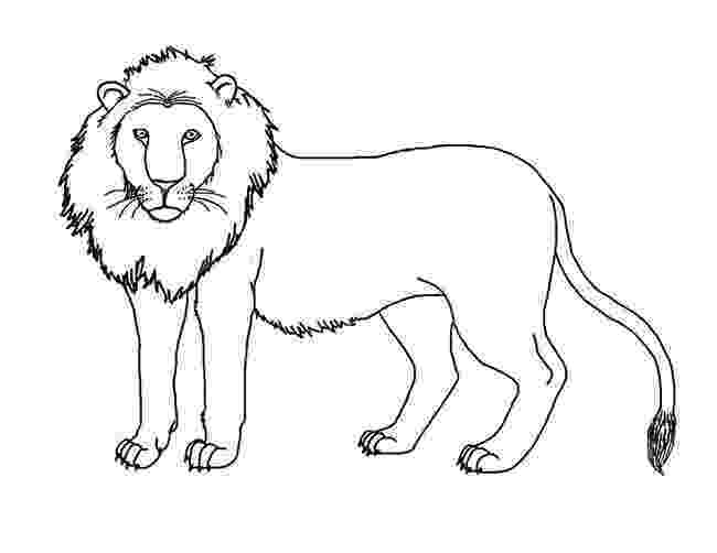lion coloring book the lion king coloring pages 2 disneyclipscom book lion coloring 
