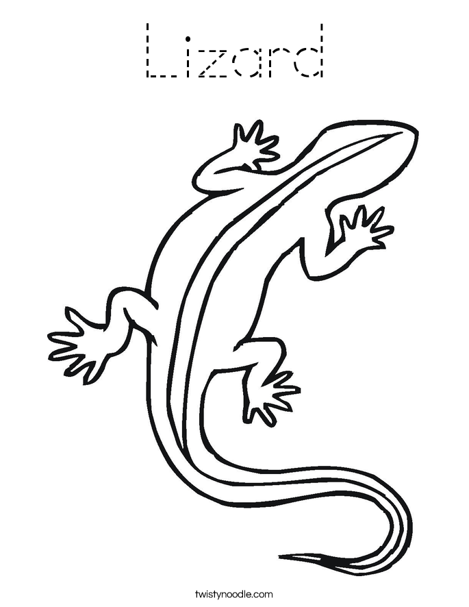 lizard coloring sheet printable lizard coloring pages for kids cool2bkids coloring lizard sheet 
