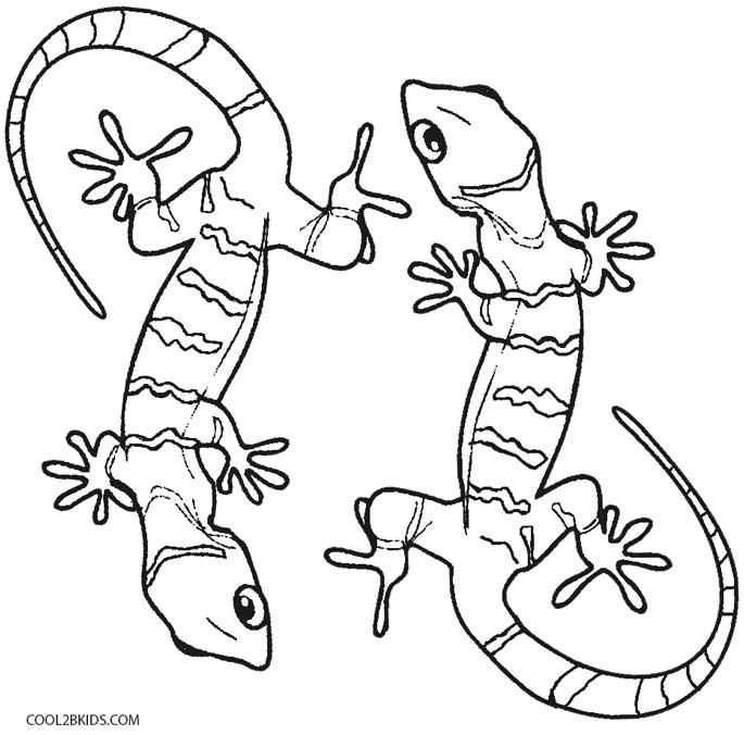 lizard coloring sheet printable lizard coloring pages for kids cool2bkids sheet coloring lizard 