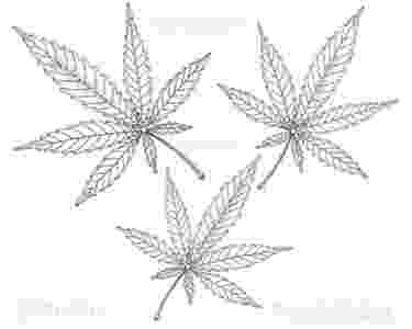 marijuana leaf coloring pages don39t smoke it colour it printable adult color page marijuana pages coloring leaf 