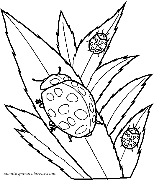 mariquita dibujo para colorear familia de caracoles dibujalia dibujos para colorear colorear para dibujo mariquita 