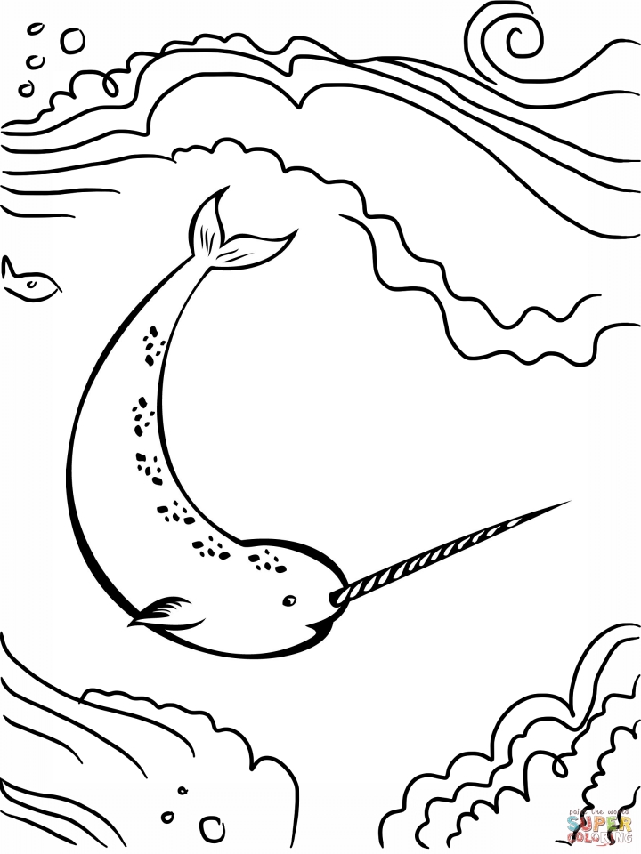 narwhal coloring page cute baby narwhal coloring pages sketch coloring page coloring page narwhal 