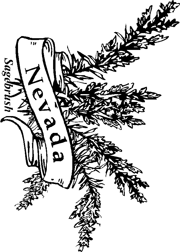 nevada state flower nevada state flower coloring page woo jr kids activities state flower nevada 