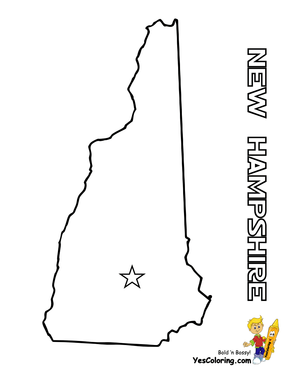 new hampshire coloring pages new hampshire state flower coloring page woo jr kids coloring hampshire new pages 