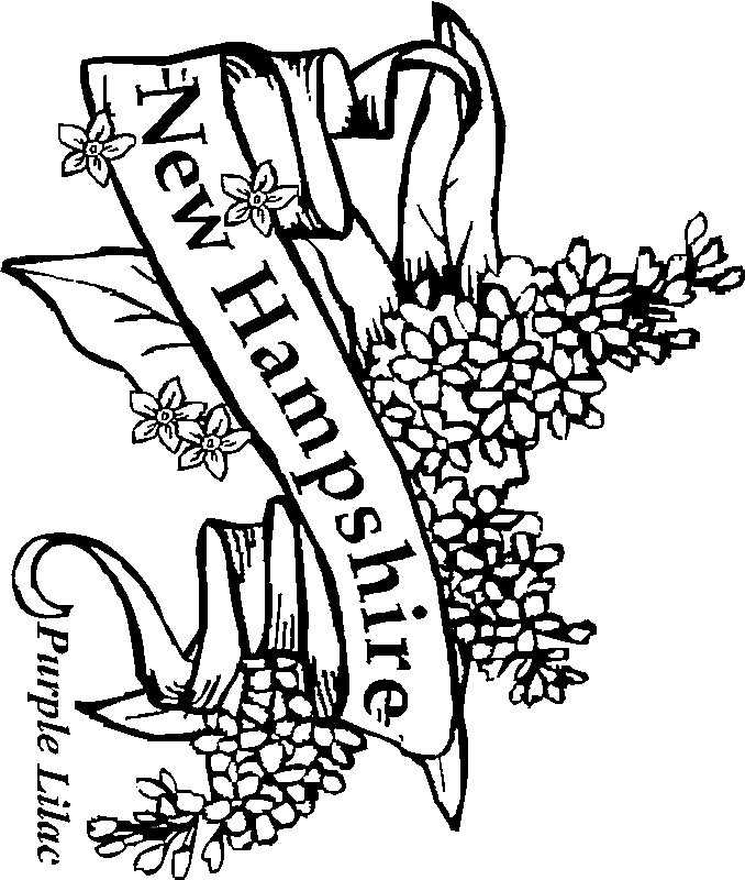 new hampshire coloring pages new hampshire state seal coloring page free printable coloring pages hampshire new 